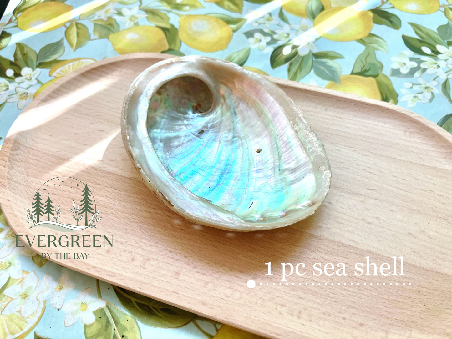 Healing Collection #1: Tranquil Tide